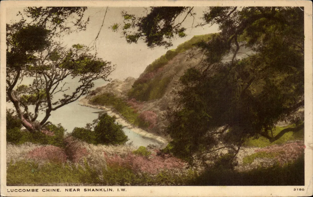 Luccombe Chine, near Shanklin, I.W. — Blick auf die Küste mit Klippen und Blumen — Verlag I.W., Nr. 3180 - Vorderseite