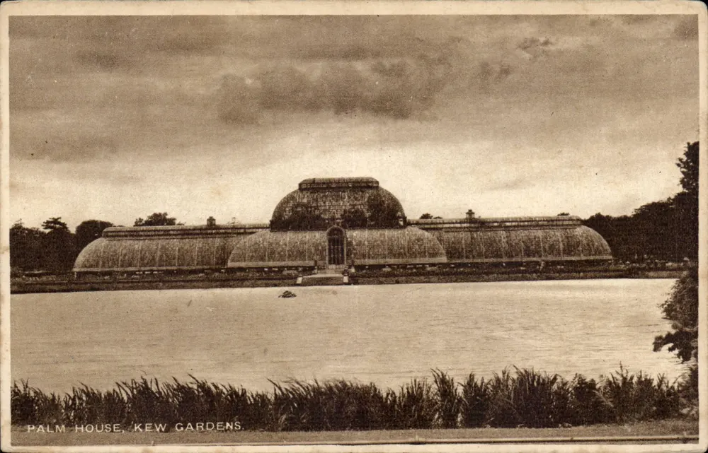Palm House, Kew Gardens — Exklusive Serie von W. Straker - Vorderseite