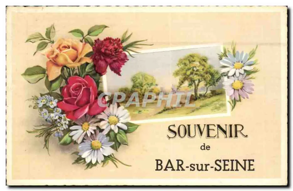 Bar-sur-Seine — Lembrança — D. Hamel, Paris - Frente