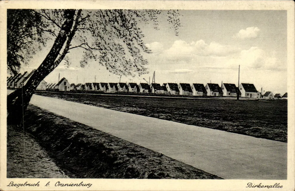 Leegebruch bei Oranienburg — Birkenallee — Verlag: Papierhaus von Pützingslöwen - Vorderseite