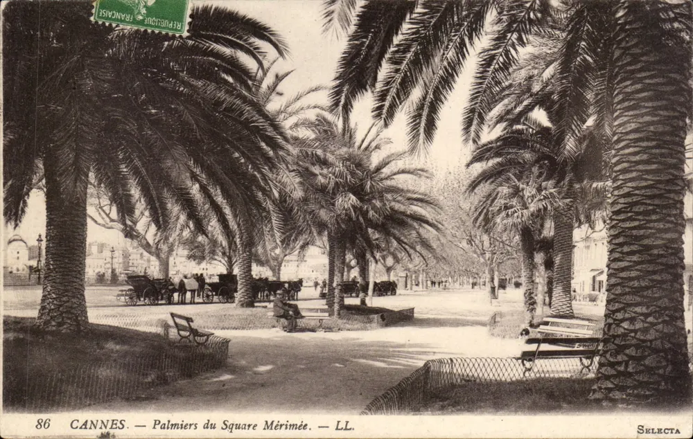 CANNES — Palmiers do Square Mérimée — LL. SELECTA - Frente