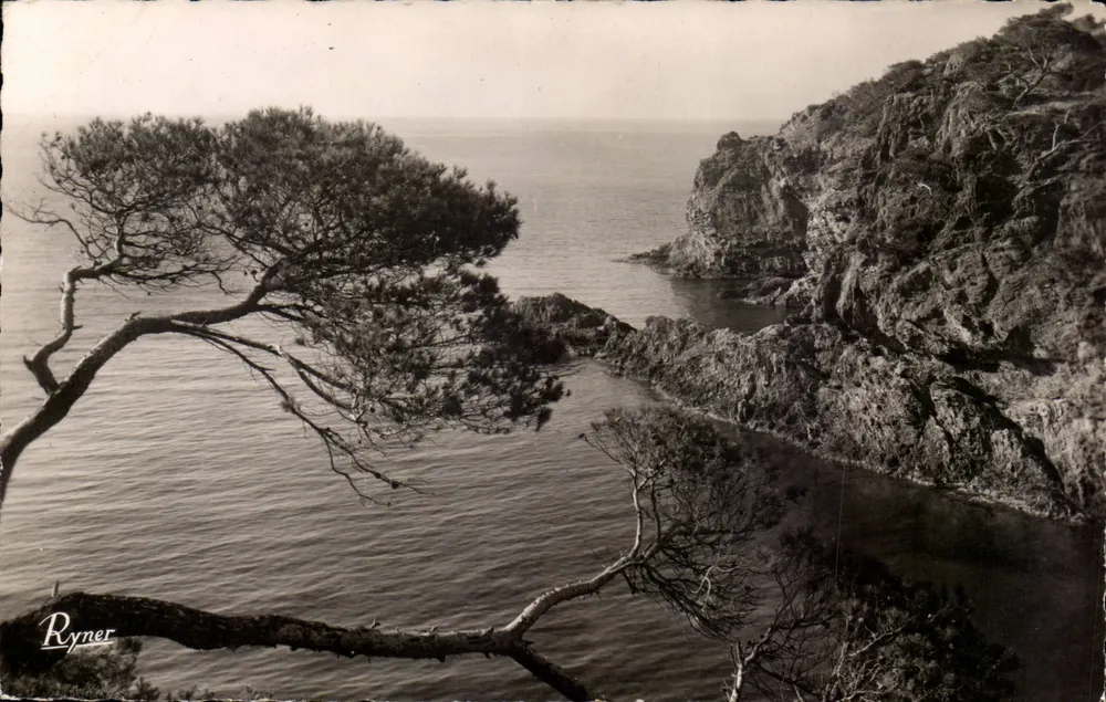 Rocha lado Sul — Ilha de Porquerolles — editor Ryner - Frente