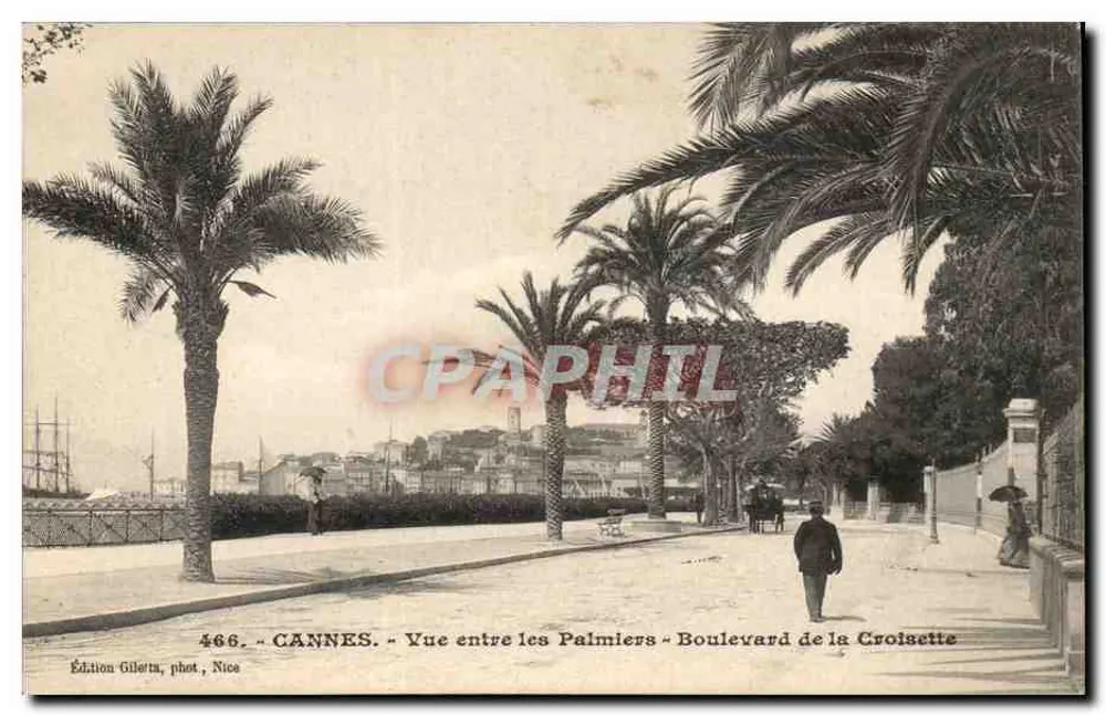CANNES - Ansicht zwischen den Palmen - Boulevard de la Croisette — Edition Gillet, Foto Nice, Nr. 466 - Vorderseite