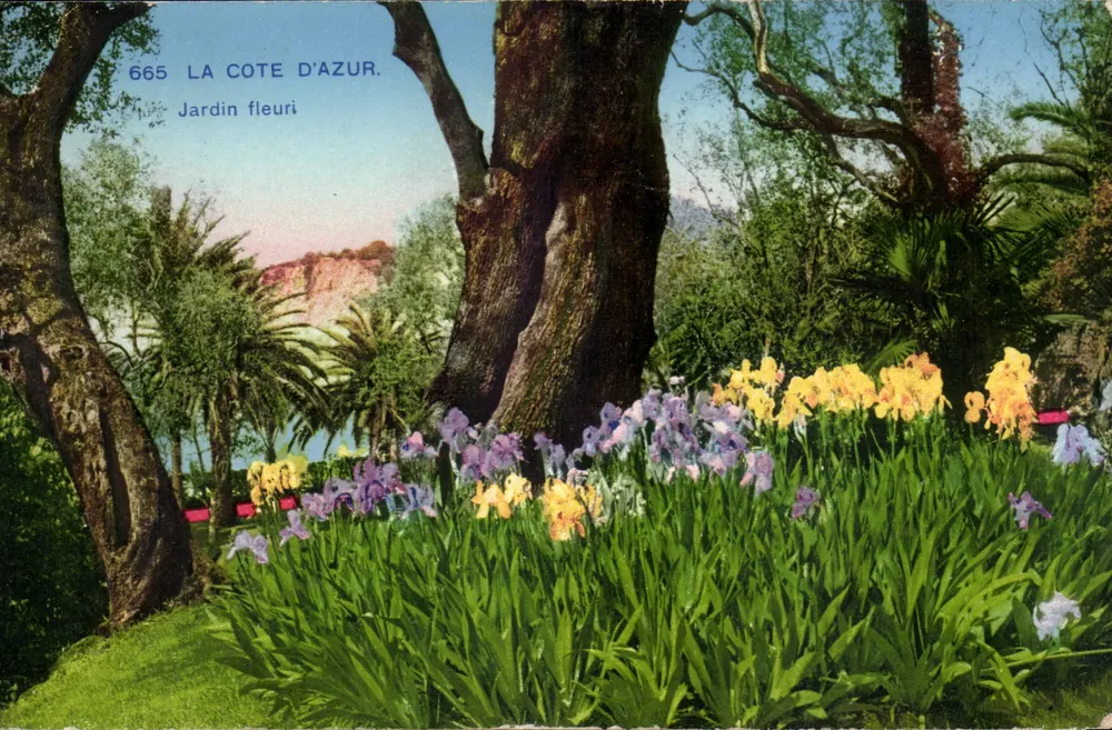 A Costa do Azul — Jardim florido — Fotochrome A.D.I. (A.M.) - Frente