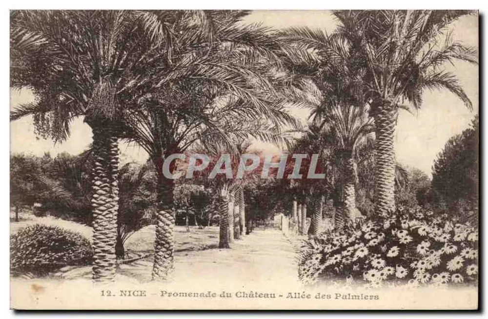 NICE - Promenade du Château - Allée des Palmiers — Verlag Giletta, Nr. 12 - Vorderseite