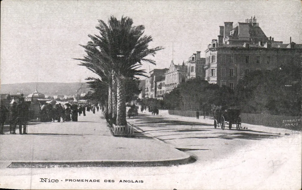 Nice - Promenade dos Ingleses — vista da promenade com palmeiras e edifícios — editor Starck, Paris - Frente