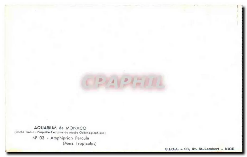 Anémonas e peixes-palhaços — Aquário de Mônaco — S.I.C.A. - 98, Av. St-Lambert - NICE - Verso
