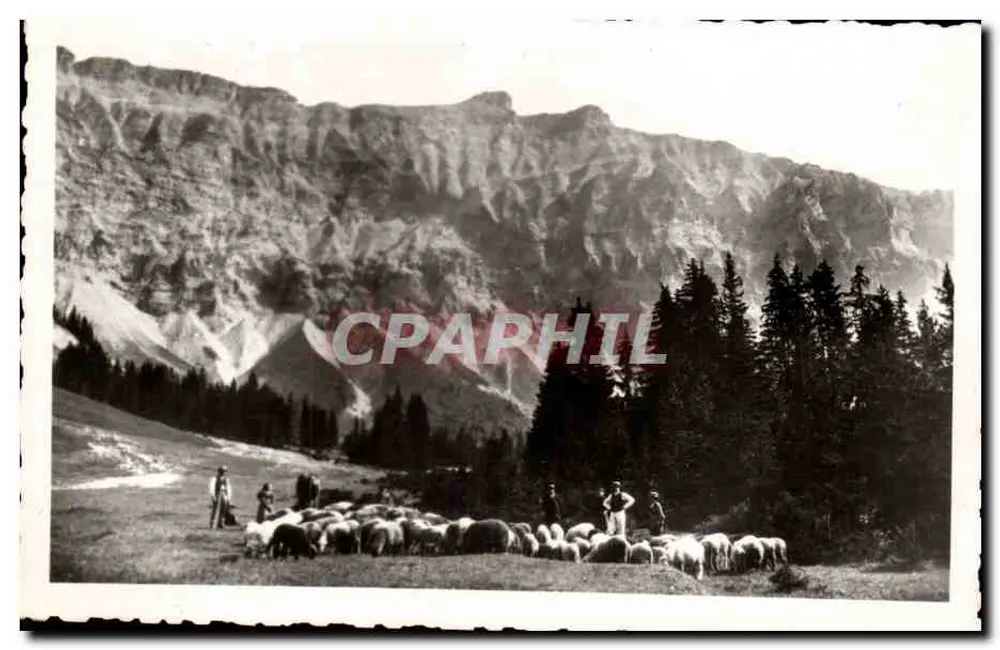 Schafherde unter den Aiguilles du Joly (3490 m) — Mégeve (74) — L. Mohand, Verleger - Vorderseite