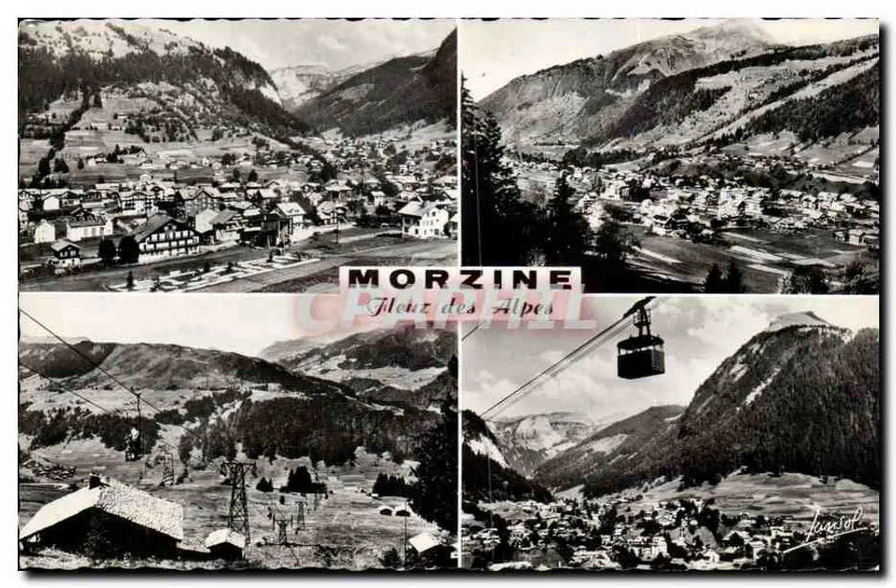 Morzine — Fleur des Alpes — Editions Photographiques Janschery - Frente