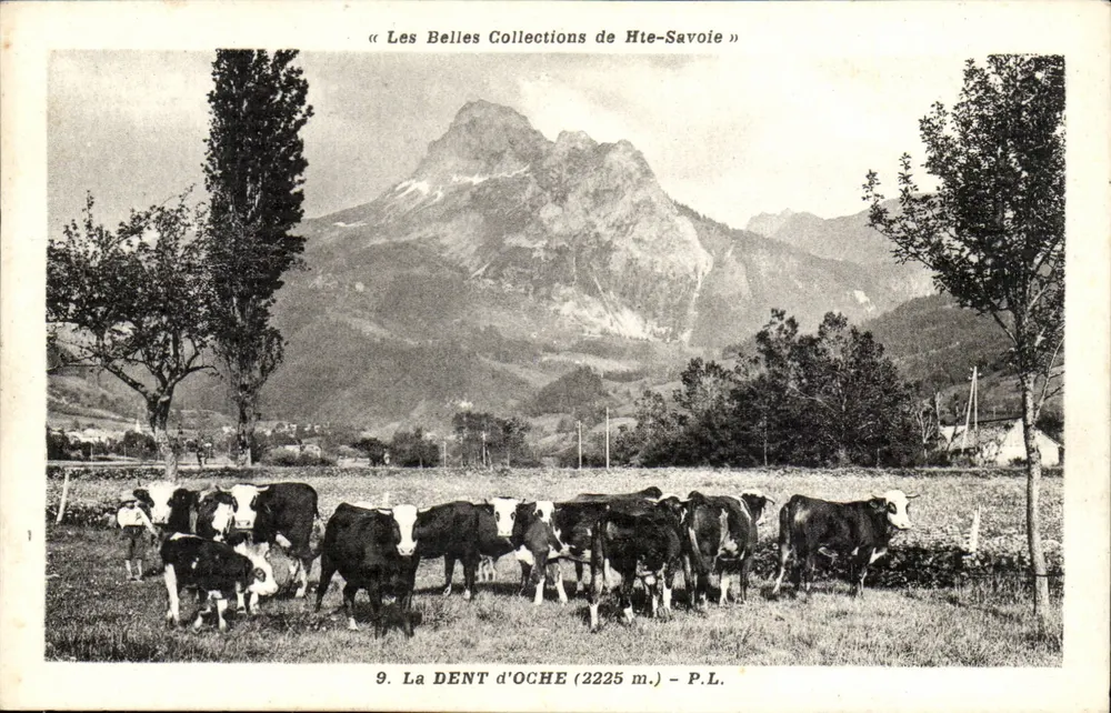 La Dent d'Oche (2225 m.) — Hte-Savoie — Verleger P.L. - Vorderseite