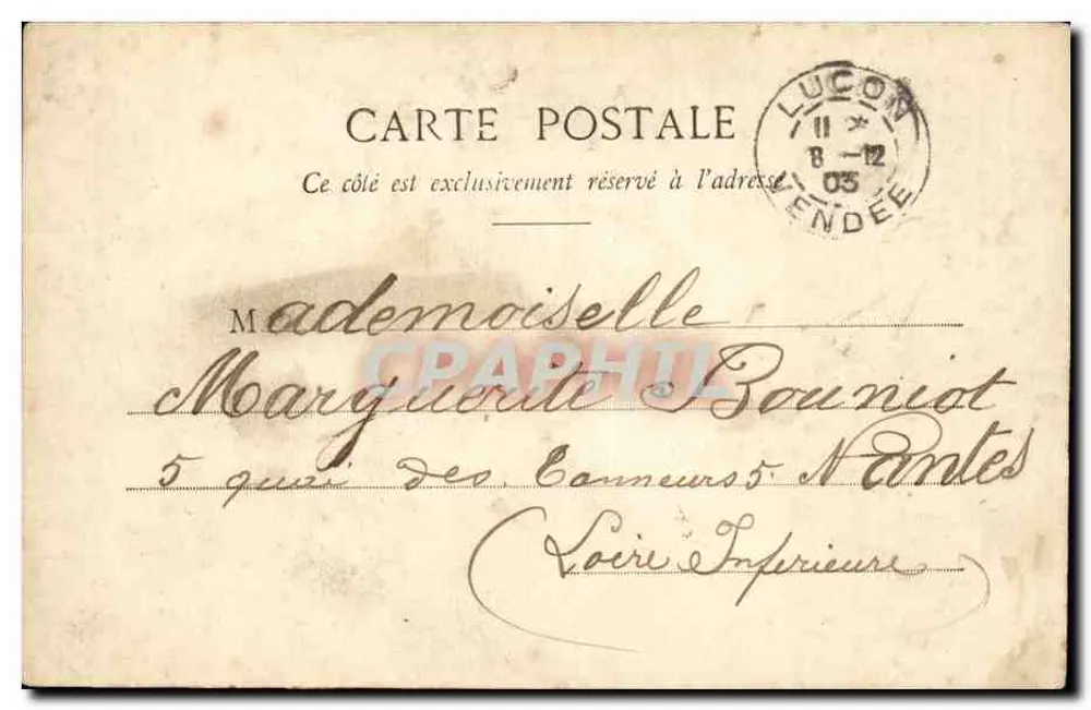 Frau in einem Musterkleid — Jahr 1904 — Verlag unbekannt - Rückseite