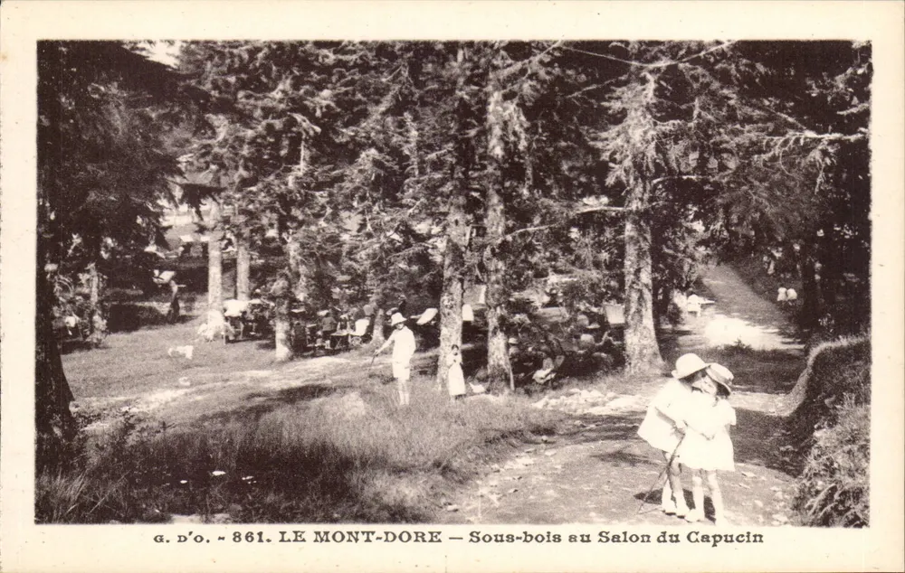 LE MONT-DORÉ — Unterholz am Capucin-Salon — g. d'o. - 861 - Vorderseite