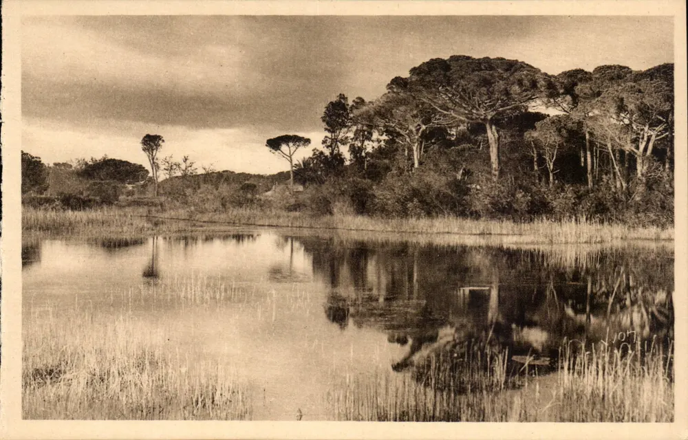 Landschaft auf der Straße zum Strand — Hyères (Var) — Mariel Kunstverlag - Vorderseite