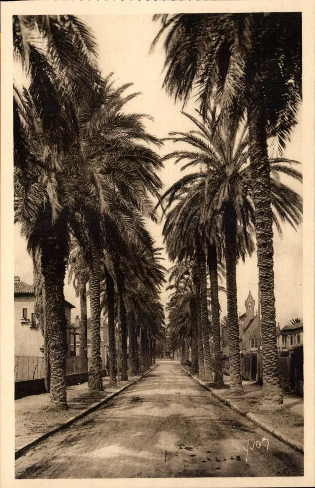 Hyères — Boulevard de Beauregard — La Douce France, n°329 - Frente