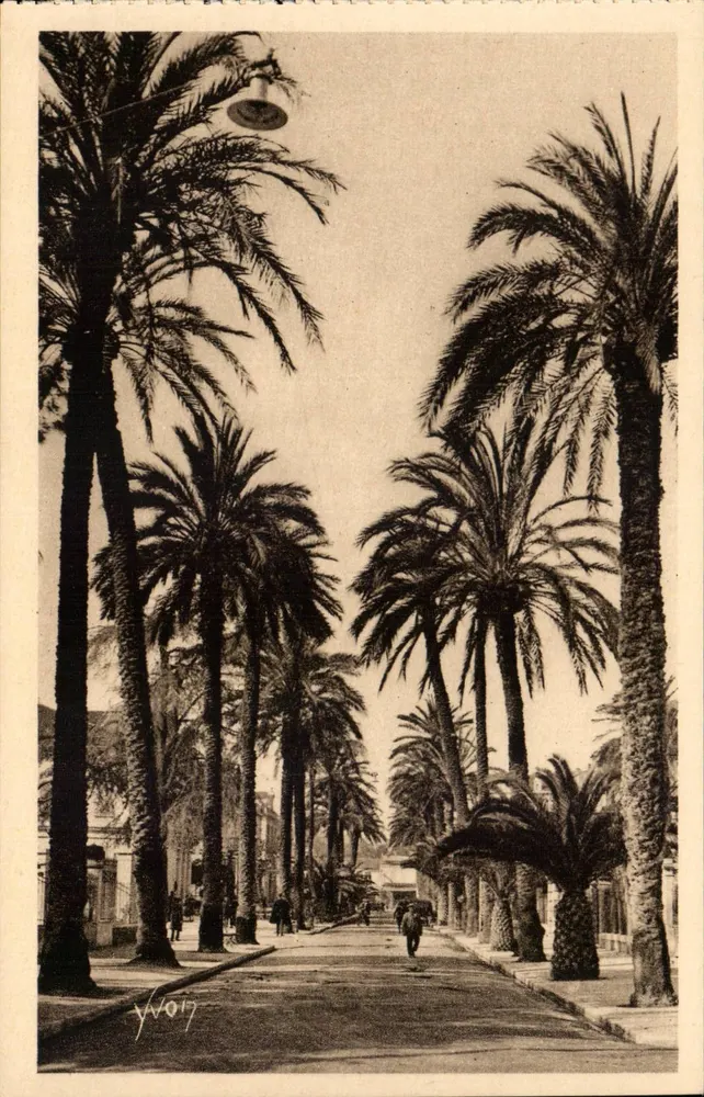 Avenida da Bélgica — Hyères (Var) — Les Éditions d'Art YVON, Paris - Frente