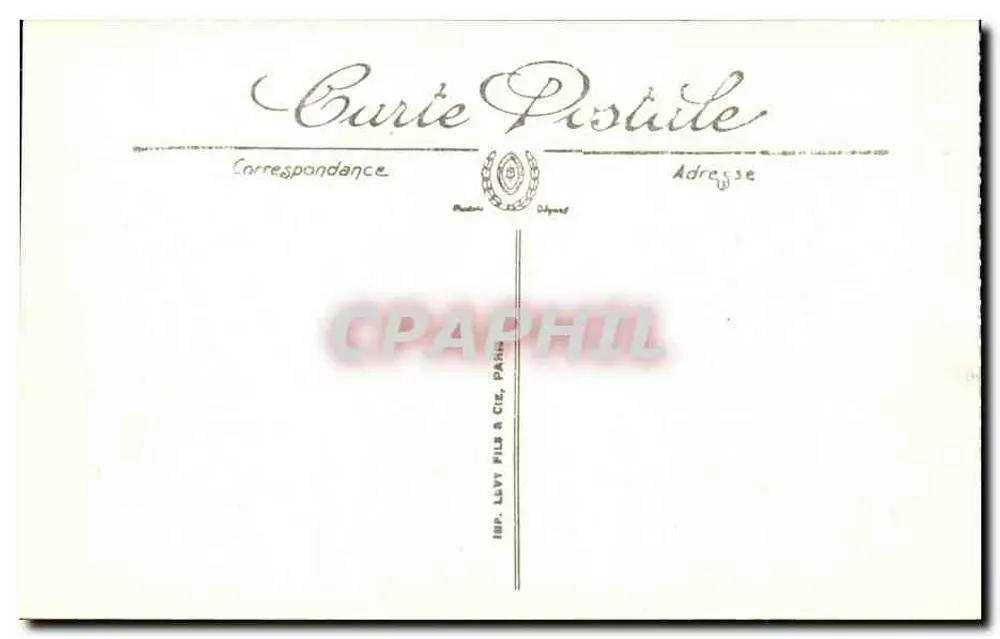 Stiere der Manade Pouly — Camargue — LL - Rückseite