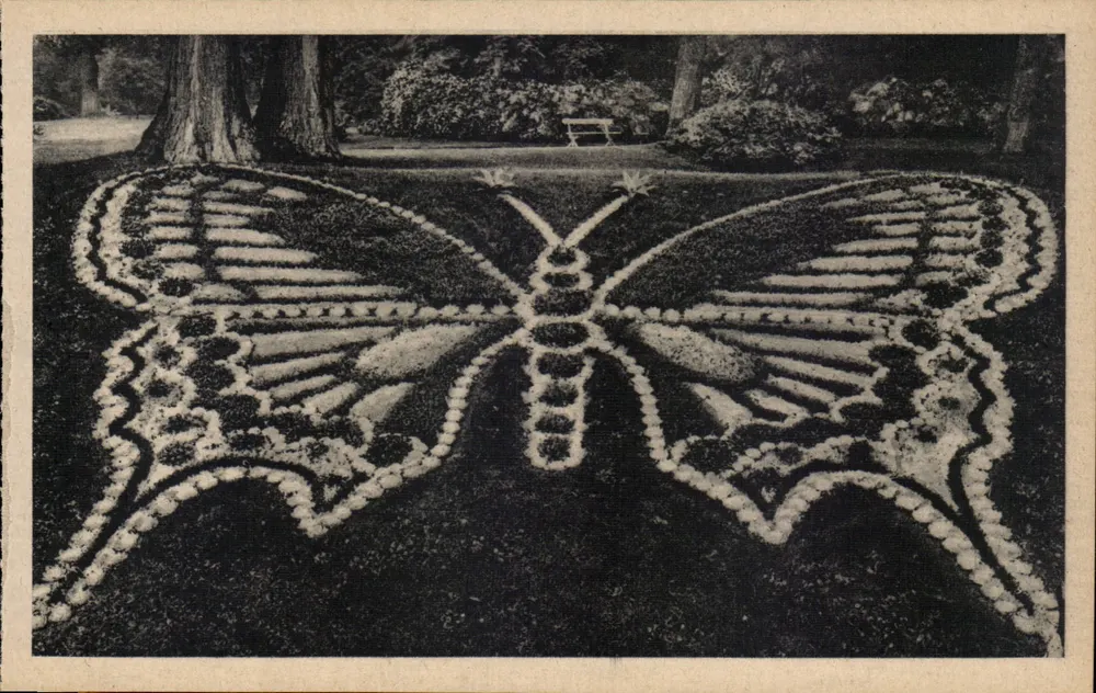 Schmetterling im Jardin des Plantes — Rouen — Edition La Cigogne - Vorderseite