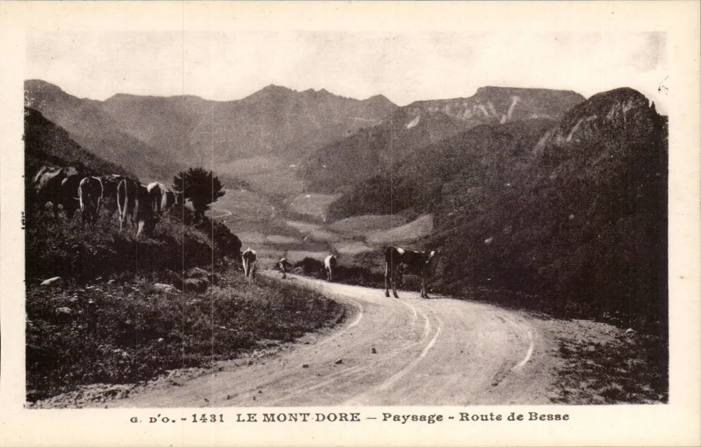 Mont-Dore — Landschaft — Route de Besse — g. d'o. - 1431 - Vorderseite