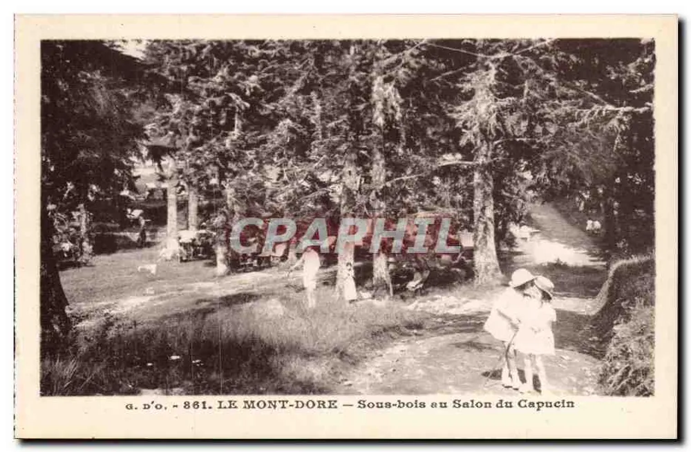 LE MONT-DORÉ — Unterholz am Salon du Capucin — G. D'O. - 861 - Vorderseite