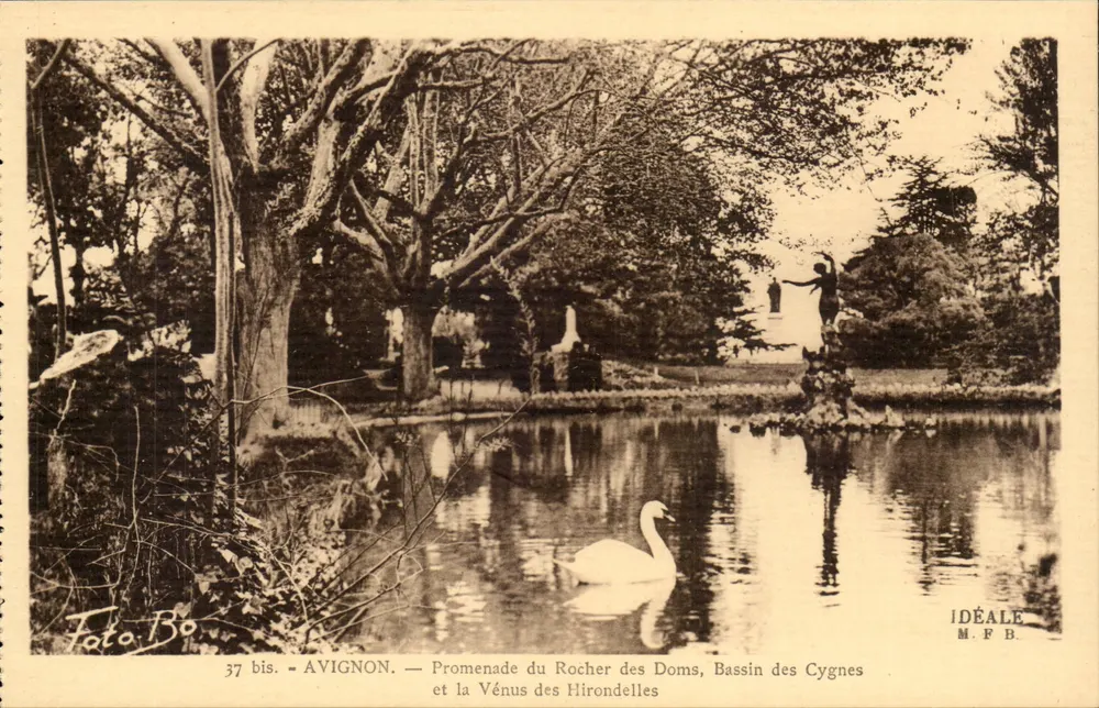 Avignon — Promenade du Rocher des Doms, Bassin des Cygnes und la Vénus des Hirondelles — IDÉALE M.F.B. - Vorderseite