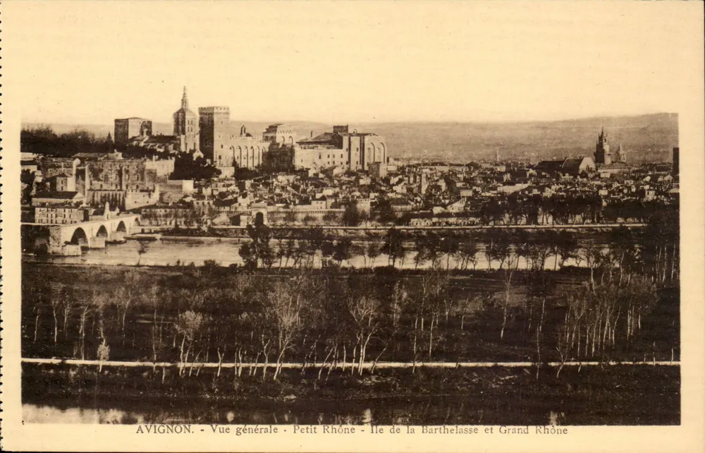 Avignon - Allgemeiner Blick - Kleiner Rhône - Insel Barthelasse und Großer Rhône - Vorderseite