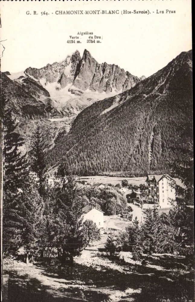 Chamonix-Mont-Blanc (Hte-Savoie) — Les Praz — Aiguilles Verte et du Dru — G.R. 564 - Frente
