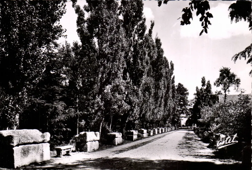 Arles — De Alyscamps : Laan van de Grafstenen — Éditions de Luxe Estel - Voorkant