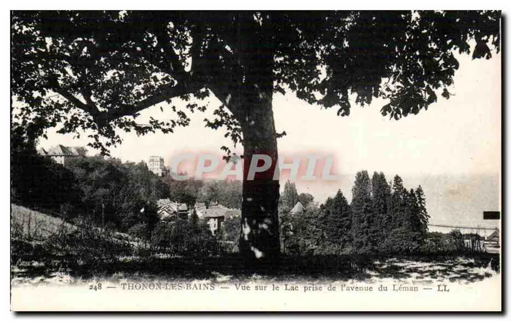 Thonon-les-Bains — Blick auf den See von der Avenue du Léman — LL n°248 - Vorderseite