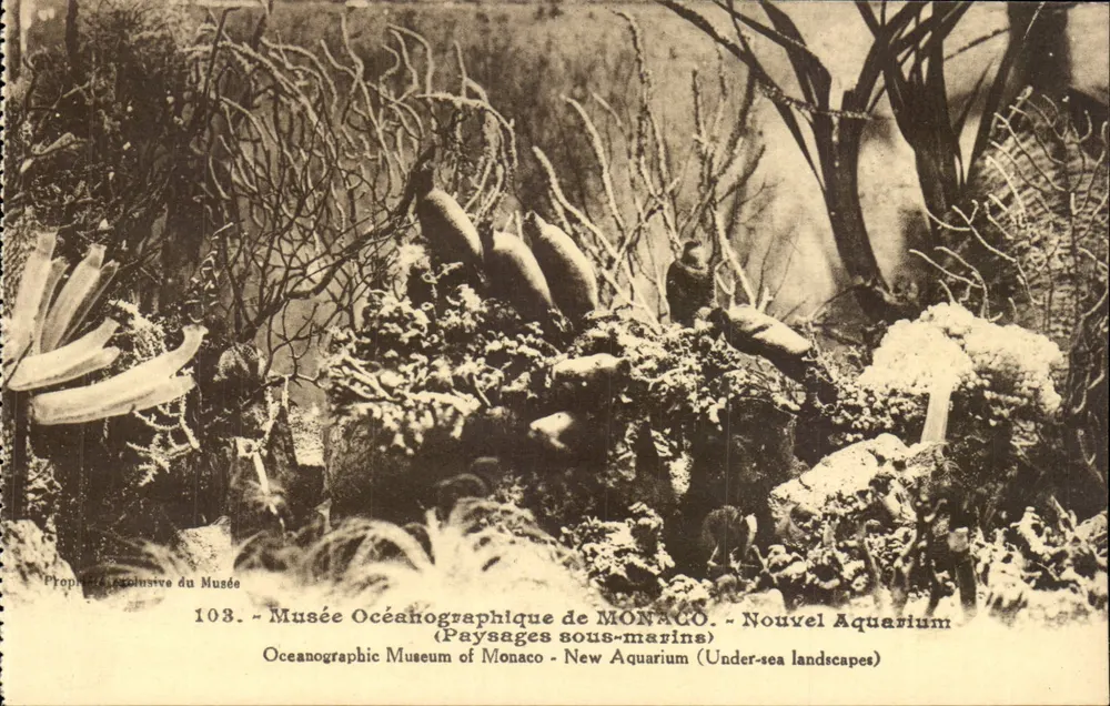 Ozeanografisches Museum von MONACO - Neuer Aquarium (Unterwasserlandschaften) - Vorderseite