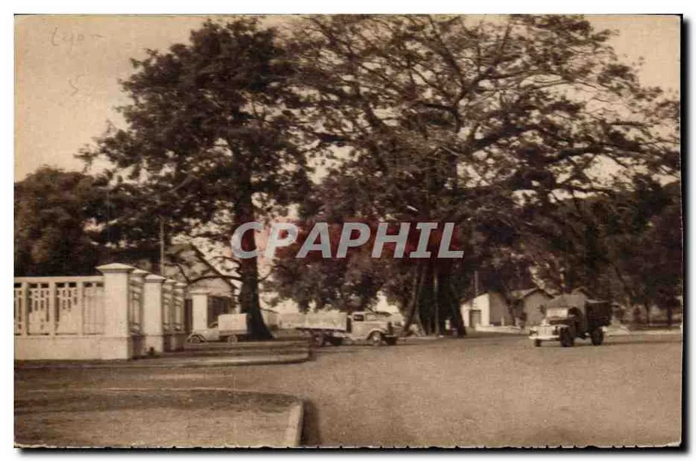 लियोन के एक वृक्ष से सजे रस्स का दृश्य — प्रकाशक लेस्कुइयर एवं पुत्र, लियोन - आगे