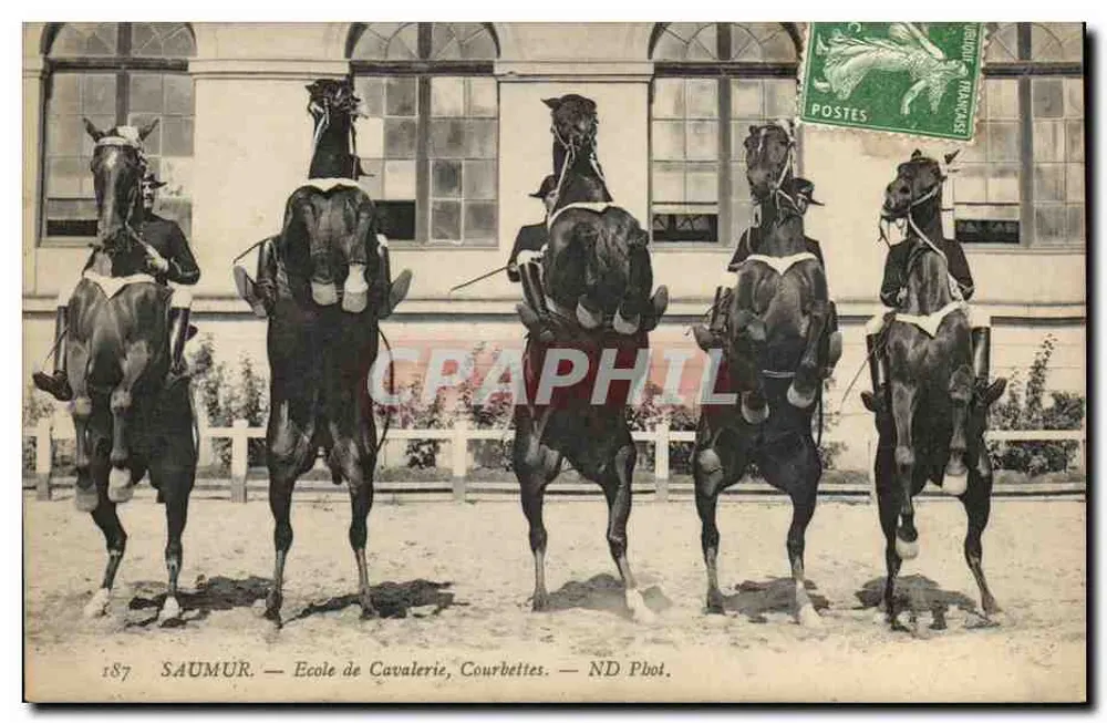 Saumur — Reitakademie, Courbettes — ND Phot. - Vorderseite