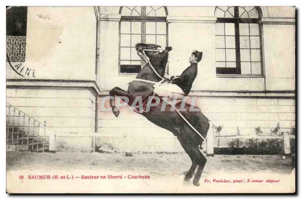 Saumur (M.-et-L.) — Reiter in Freiheit — Courbette — Fr. Voelcker, phot. Saumur abgegeben - Vorderseite