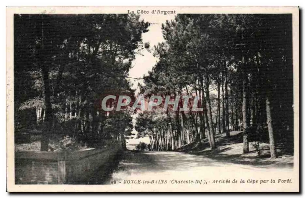 Chegada à Côte d'Argent pela Floresta — Roncq-les-Bains (Charente-Inf.) - Frente