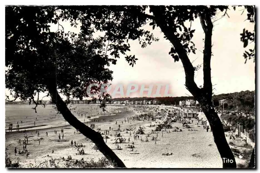 Strand von Royan — Blick von den Bäumen — Tito - Vorderseite