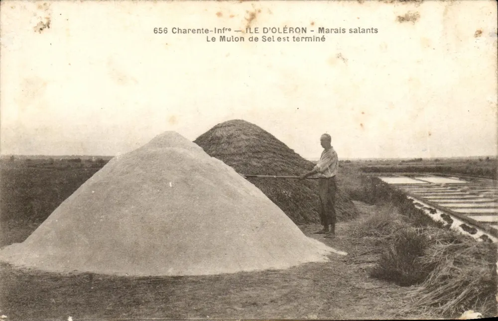 Ile d'Oléron — Salzseen — Der Salzhaufen ist fertig - Vorderseite