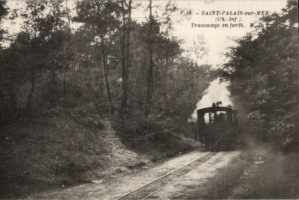 Saint-Palais-sur-Mer — Tramways na floresta — M.D. - Frente