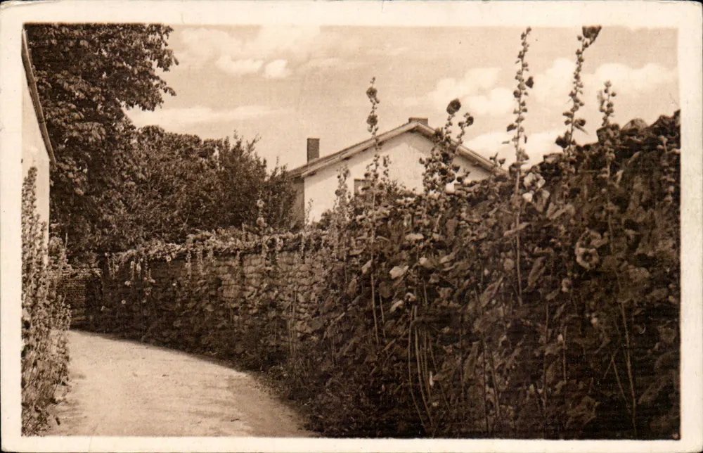 Talmont-sur-Gironde — Eine blühende Straße — Ollche L. Guinastren de Gajon - Vorderseite