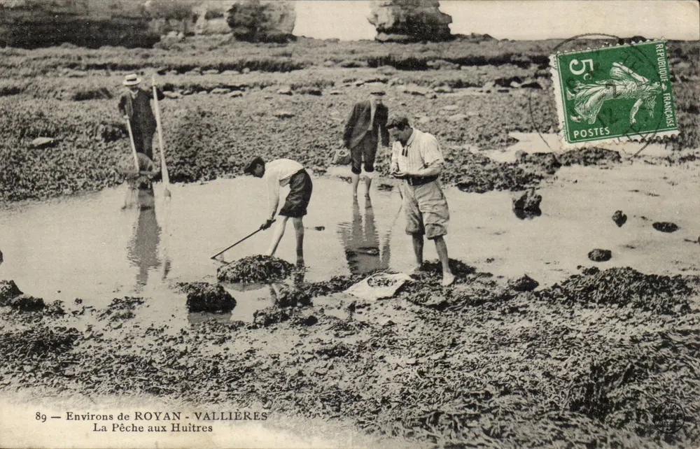Umgebung von ROYAN - VALLIÈRES — Muschelfischen — Verleger nicht sichtbar, Seriennummer 89 - Vorderseite