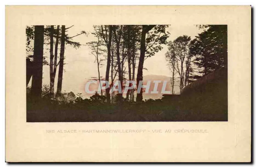 Hartmannswillerkopf — vista ao entardecer — EHKIRCH & Cie - Frente
