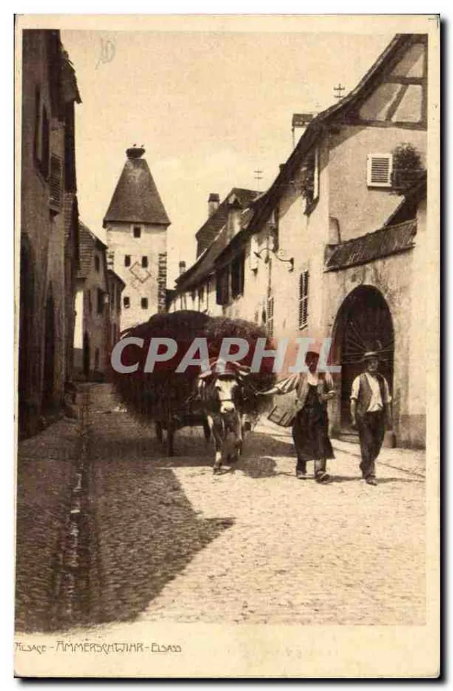 Ammerzwiller — Hauptstraße mit Ochsenkarren — Revue Alsacienne, Straßburg - Vorderseite