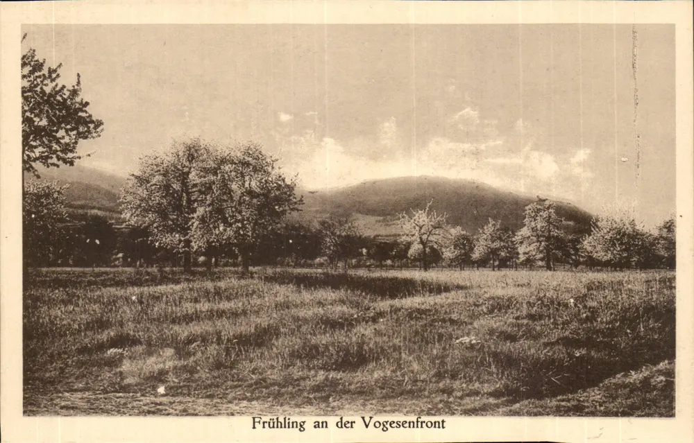 Frühling an der Vogesenfront — Frühling-Postkarte aus der Elsass — herausgegeben von A. II. A. Dreyfus, Milhausen - Vorderseite
