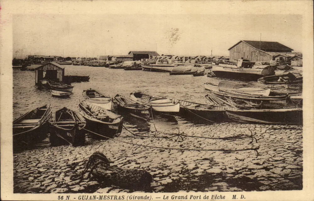 Gujan-Mestras (Gironde) — Ansicht des großen Fischereihafens — M.D. - Vorderseite