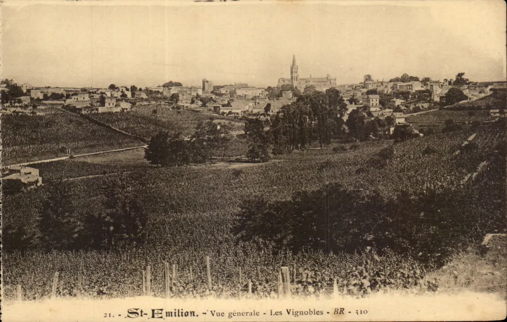 St-Emilion — Vista geral — Os Vignobles — BR 310 - Frente