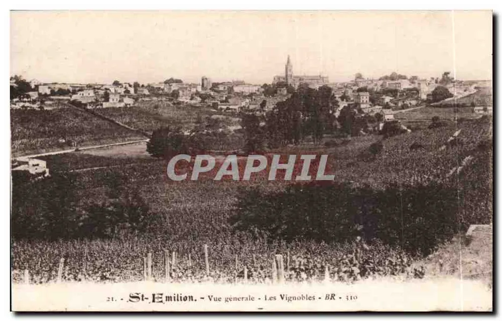 St-Emilion - Vista geral - Os Vinhedos - BR 310 - Frente