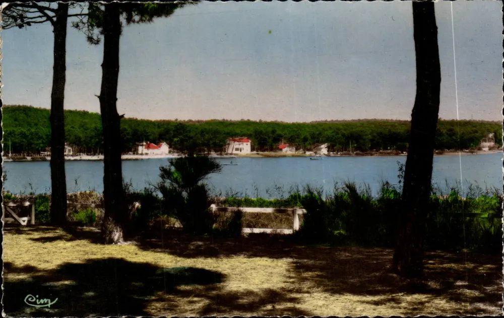 Lago de Lacanau (Gironde) — vista dos pinheiros — fotografia 'Cimy' - Frente