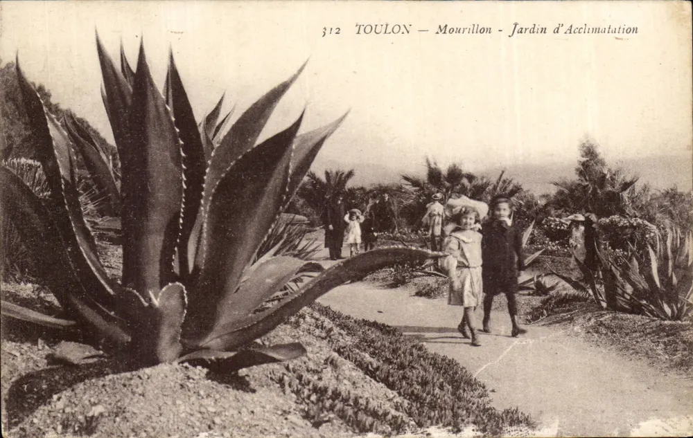Toulon — Mourillon — Jardim de Acclimatação — Editor: Estabelecimentos Dumphy, Toulon - Frente