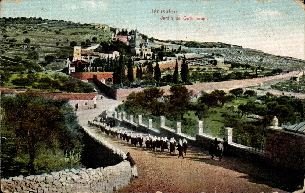 Gerusalemme — Giardino di Getsemani — Fratelli Ephrataïnes, Port-Saïd - Recto