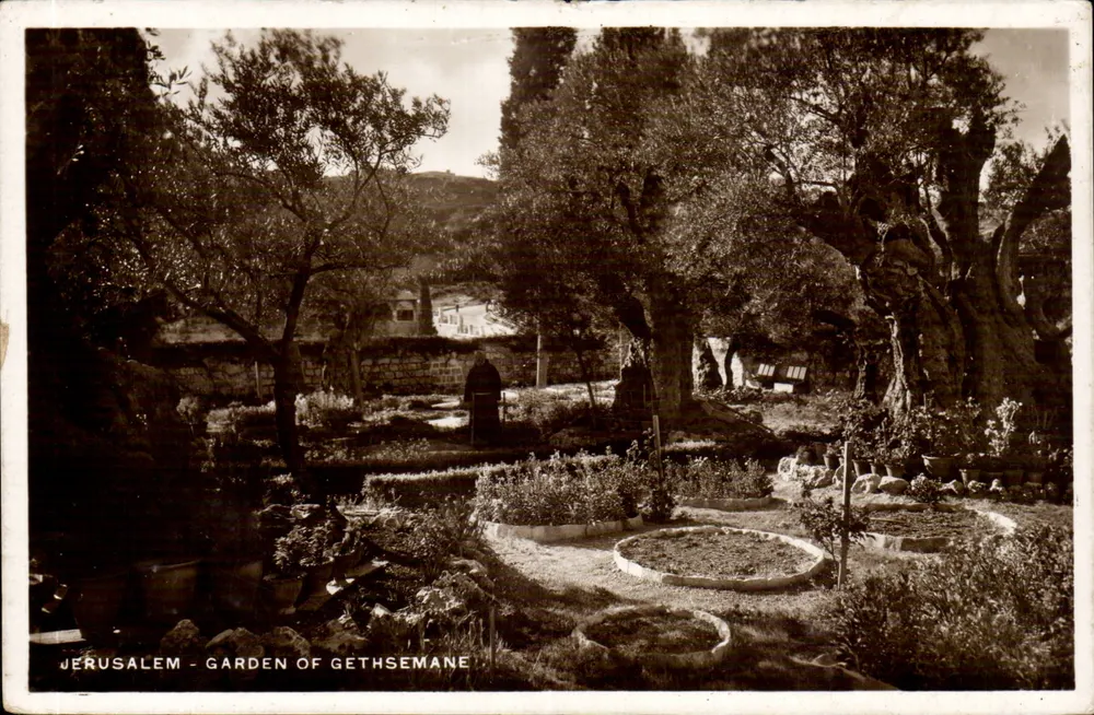 Jerusalem - Garten von Gethsemane — Foto Jotocelere Torino - Vorderseite