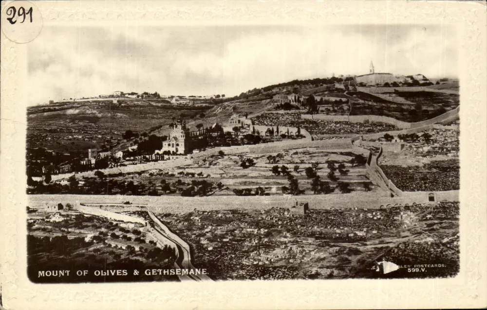 Berg der Oliven & Gethsemane — Panoramablick — Beagles Postcards Nr. 599.V - Vorderseite