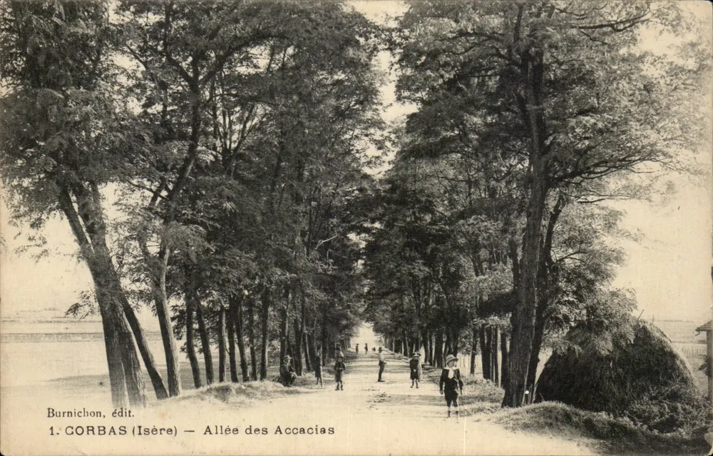 Corbas (Isère) — Avenida dos Acácias — Burnichon, editor - Frente